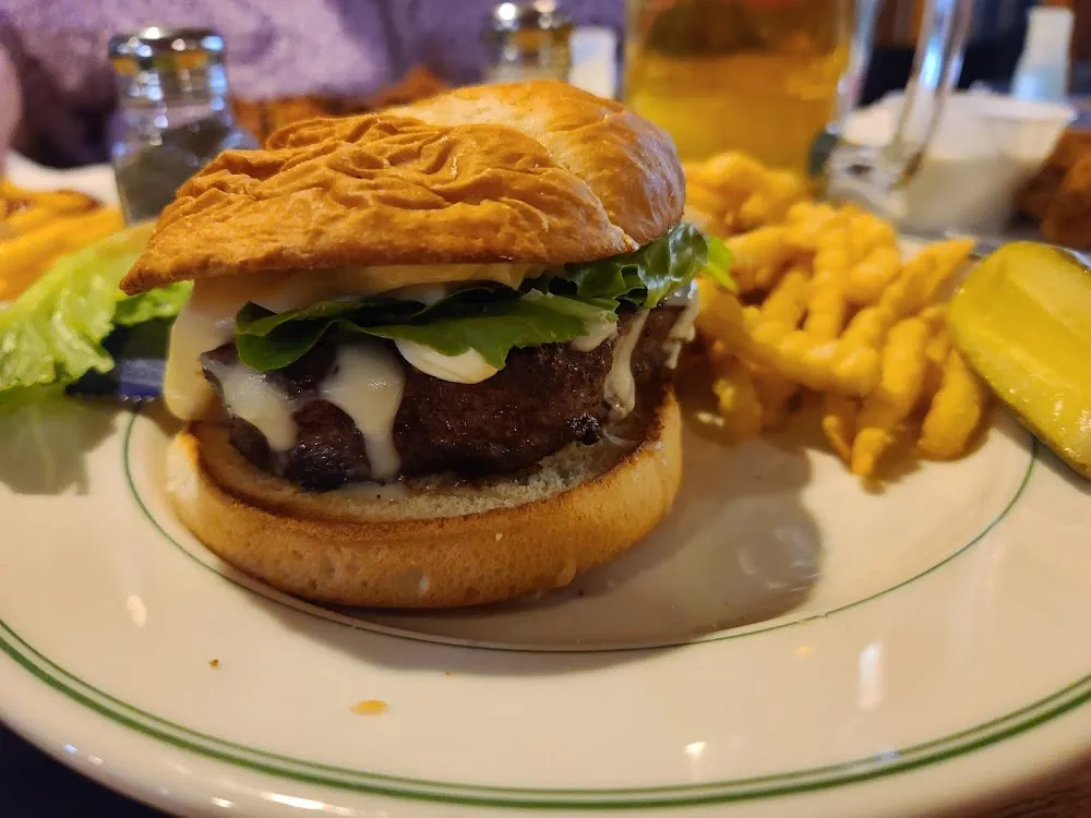 Bison Burger